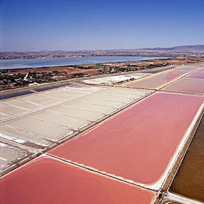 Lithium Recovery From Salt Lake Brines